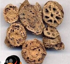 中药材藕节 莲藕结 藕连把 500g促销 藕节粉 免费磨粉