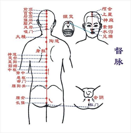 古法经络调理穴位图