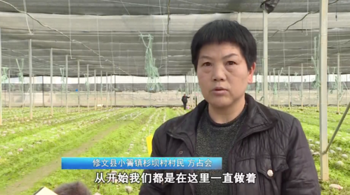 修文县小箐镇:羊肚菌喜获丰收