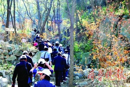 重阳节(新韵)                      作者/蒋官军