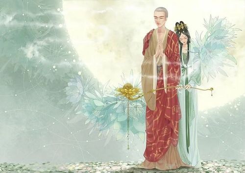 昙花一现,只为韦陀