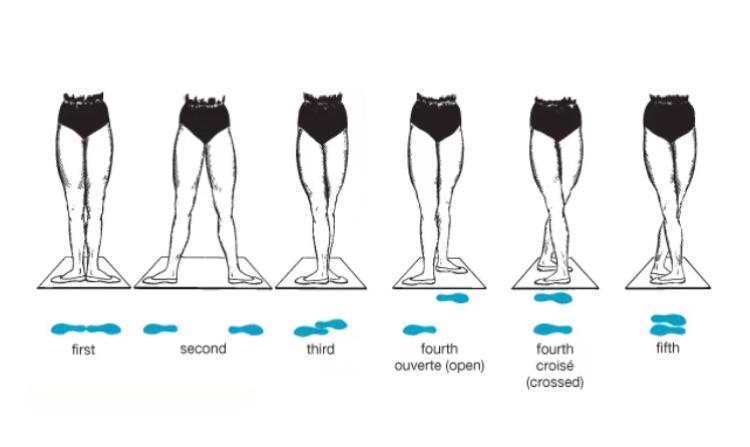 2 写美篇  古典芭蕾脚的5种基本位置  第一位:两脚跟紧靠在一直线上