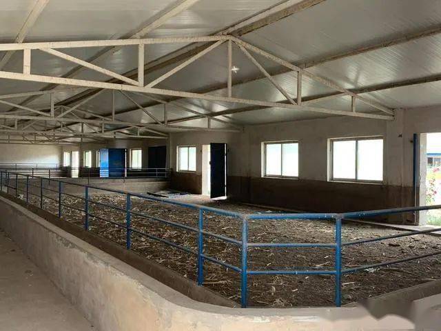 新手养羊 羊场(羊圈,羊舍)建设要求