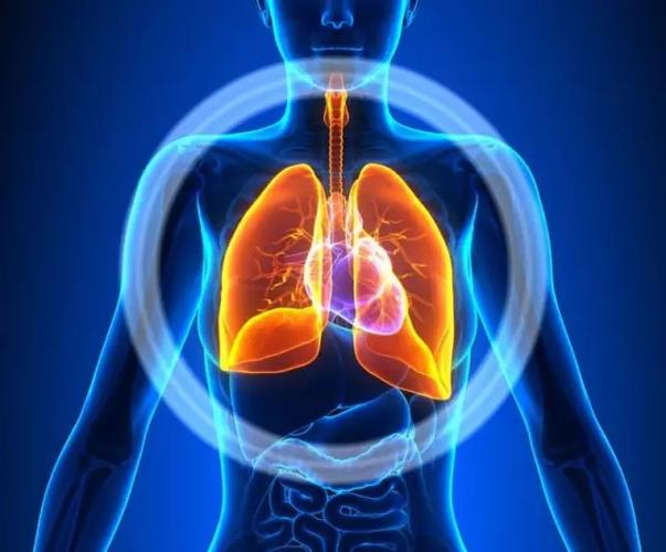 养肺先养气,按摩这几个穴位,男人精力盛,女人皮肤滑,老人少生病!