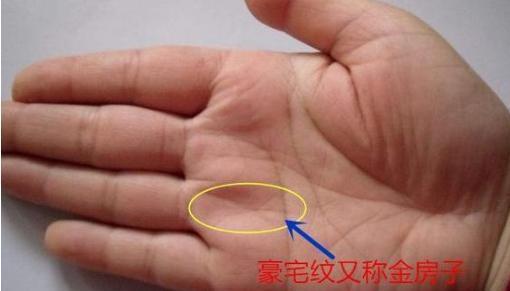 如果你有这些掌纹一生衣食无忧这是百年一遇的手相