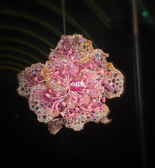 cindy chao_当代艺术_艺术展_cindychao_出行_展览