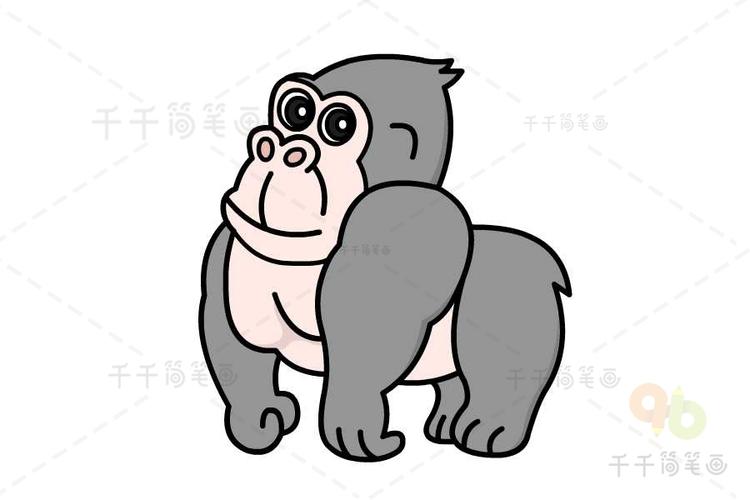 大猩猩简笔画教程_陆地动物简笔画