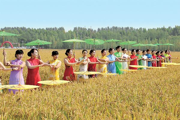 稻花香里说丰年——五龙口镇第三届稻米节综述