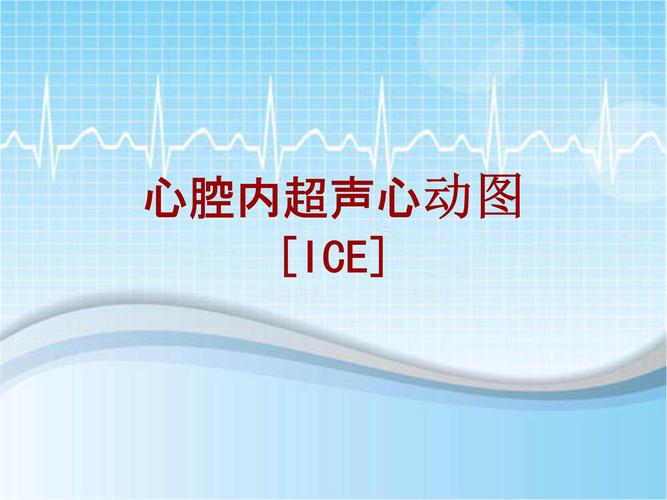 手术讲解模板:心腔内超声心动图[ice].ppt 32页