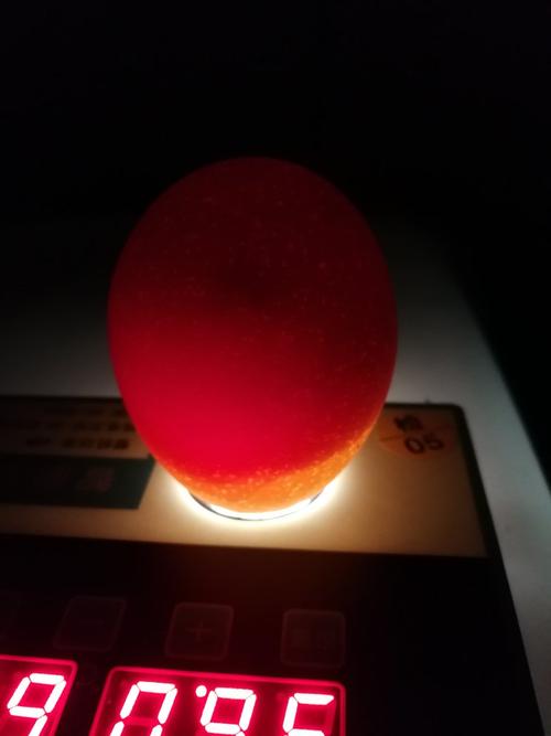 有没有孵化大神指点,孵化五天的鹅蛋,和鸡蛋,里面蛋黄会往上浮动正常