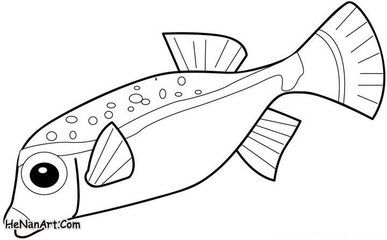 简笔画的鱼怎么画adult