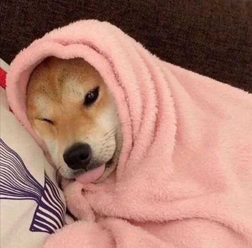 有没有中性一点的头像,男女用都不会觉得很别扭那种?