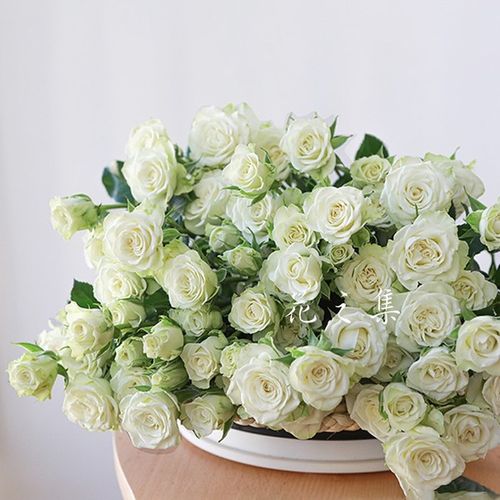购客花之集多头玫瑰白泡泡雪花江南鲜花速递办公室插花生活插花 免邮
