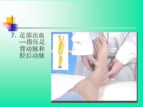 足部出血 ---指压足 背动脉和 胫后动脉