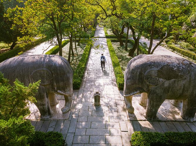 南京明孝陵石象路