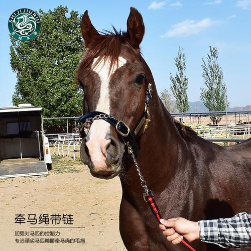 牵引世纪久瑞马术用品马绳公马训练绳带铁链马缰绳