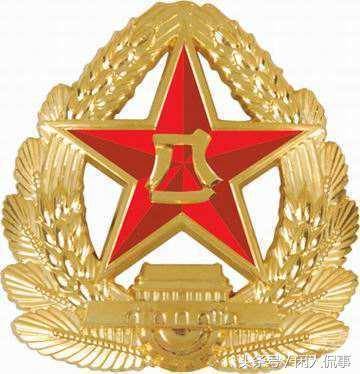 07式帽徽庄重严肃,美观大方.