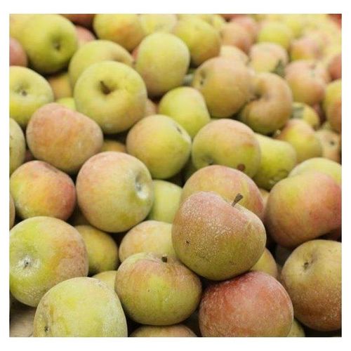 山东特产新鲜水果五莲老品种正宗小国光老树青酸甜