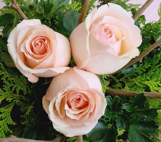 供应仿真花 多头迷你玫 月季玫瑰