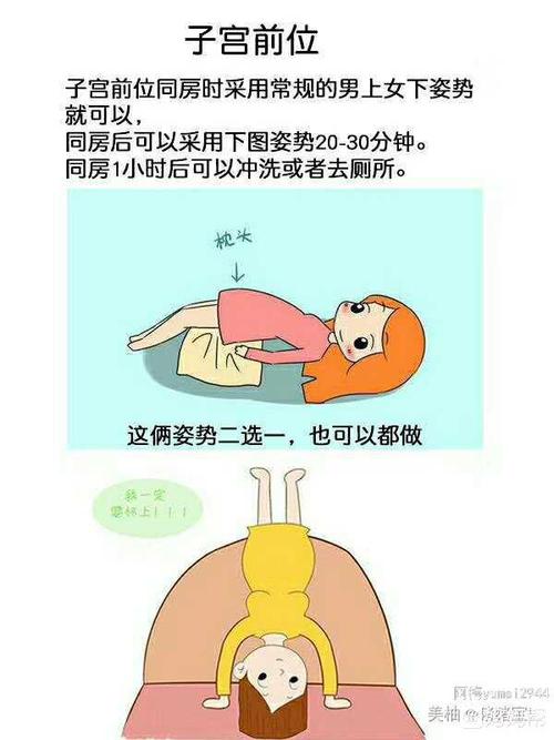 子宫后位前位备孕姿势