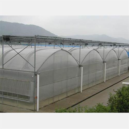 贵州铜仁 连栋温室大棚 连栋薄膜温室 拱形蔬菜连栋薄膜温室大棚