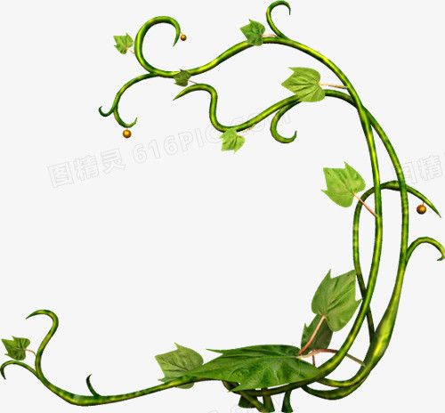 关键词:绿色叶子装饰藤蔓边框图精灵为您提供藤蔓免费下载,本设计作品
