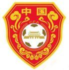 中国男子足球国家队