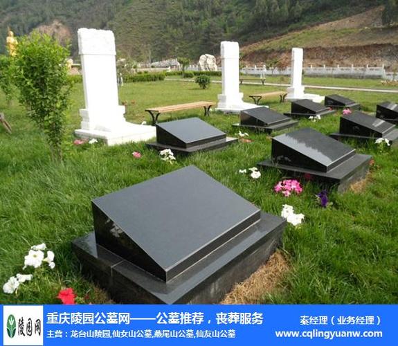 九龙坡金银山公墓-万欣商务陵园公墓-九龙坡金银山公墓什么价格