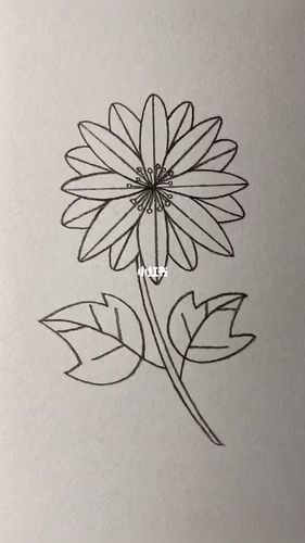 教你最简单的方法画菊花_菊花_番禺天河城自由行热门攻略_简笔画_手绘