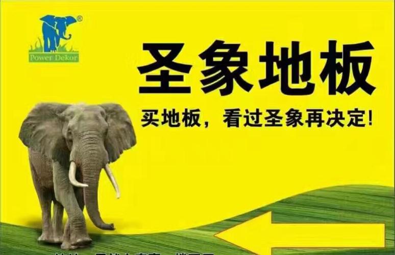 买地板,看过圣象再做决定!《三层实木 圣象真好》