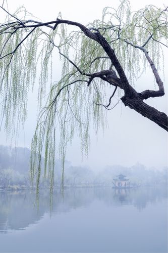4,《烟雨唱扬州》——李殊