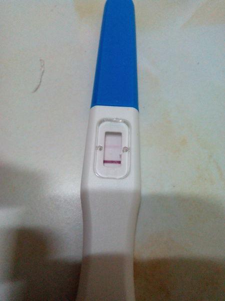 周期31天, 昨天例假没来,而且排卵期没有采取避孕措施,今天早上验孕棒