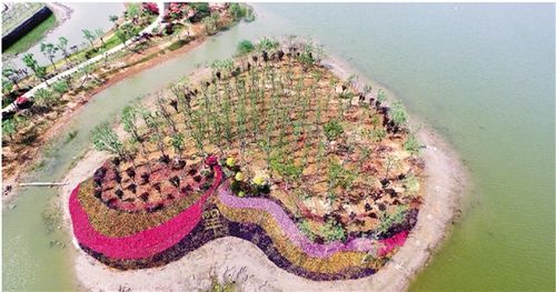 本报记者 董旭明通讯员 袁伟江 摄影报道上虞城北的杭州湾湿地,曾经是