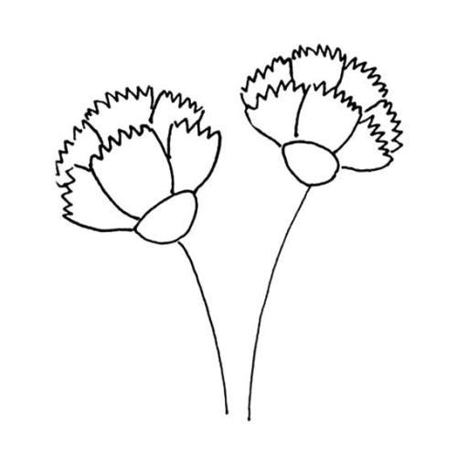 简笔画母亲节节鲜花