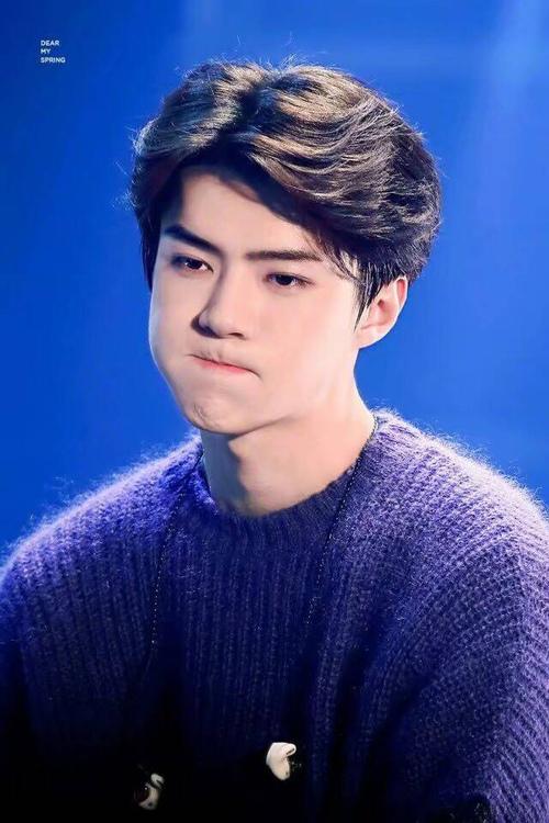 吴世勋,未来可期!