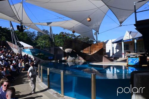 悉尼taronga动物园 sydney taronga zoo