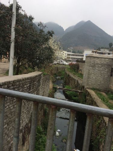毕节市织金县天气预报