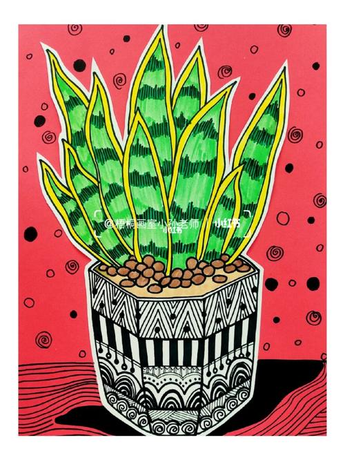 这么好养活的虎皮兰,怎么能错过呢?