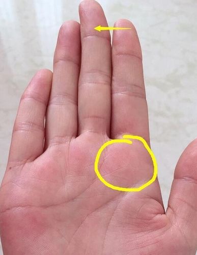 此种手相女生天生富婆命,旺夫益子福气十足!