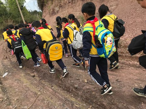 知否知否,应是踏春出游!——柳城小学二年级春游活动