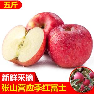 北京特产延庆张山营苹果红富士优化品种五斤装包邮新鲜应季水果