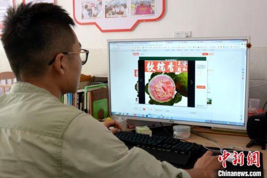 李向锋浏览运营"陈老师芭乐"电商淘宝店铺. 龚雯 摄