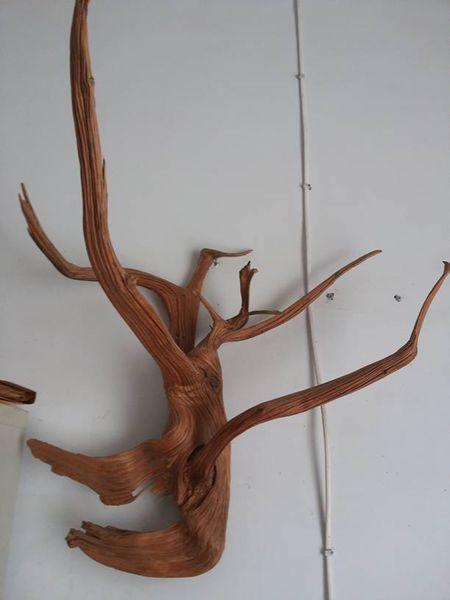 今天有一个师父让我给他学习根雕,朋友们这个事有前途吗