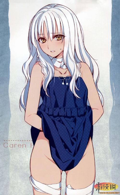 从贫乳到巨乳 二次元美女内衣版蛇年年历大放送