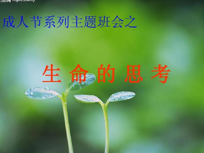 生命的思考