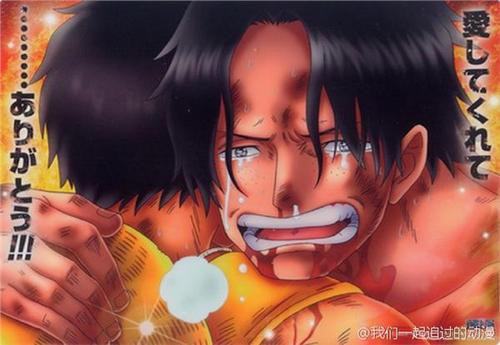 海贼王感人瞬间官方图曝光 哪一张最戳泪点?