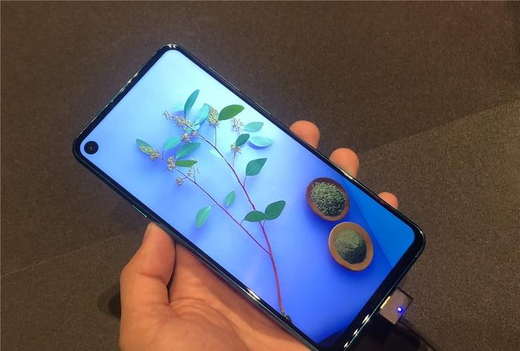 配备屏下指纹 三星a10将会进一步向"旗舰机"靠近?