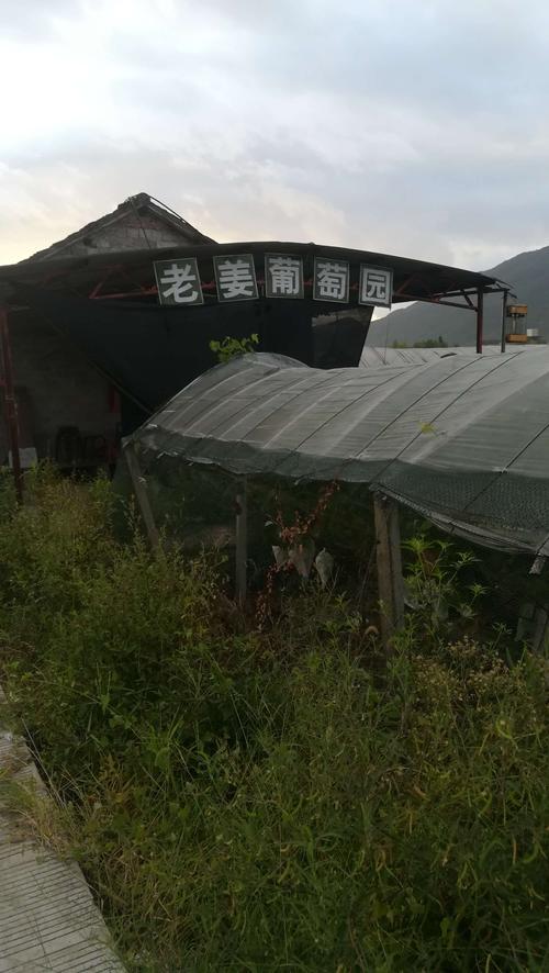 浙江永康大陈村农家乐