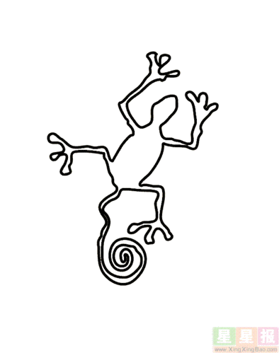 雄壁虎简笔画