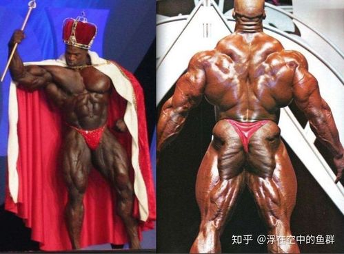 为什么举重运动员没有像健美运动员那样的肌肉形象?